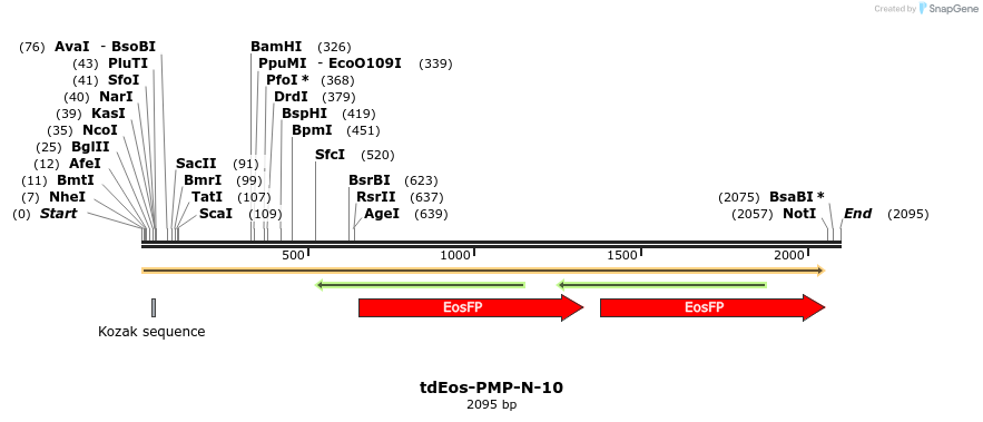 88812_map