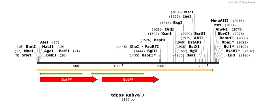 88817_map