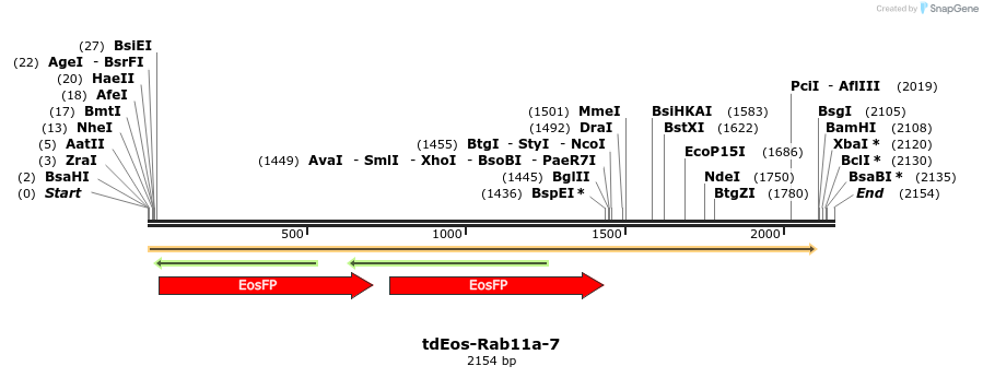 88818_map