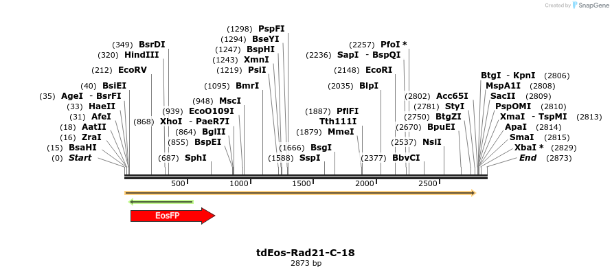 88819_map