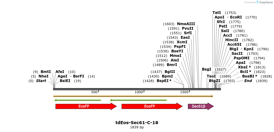 88821_map