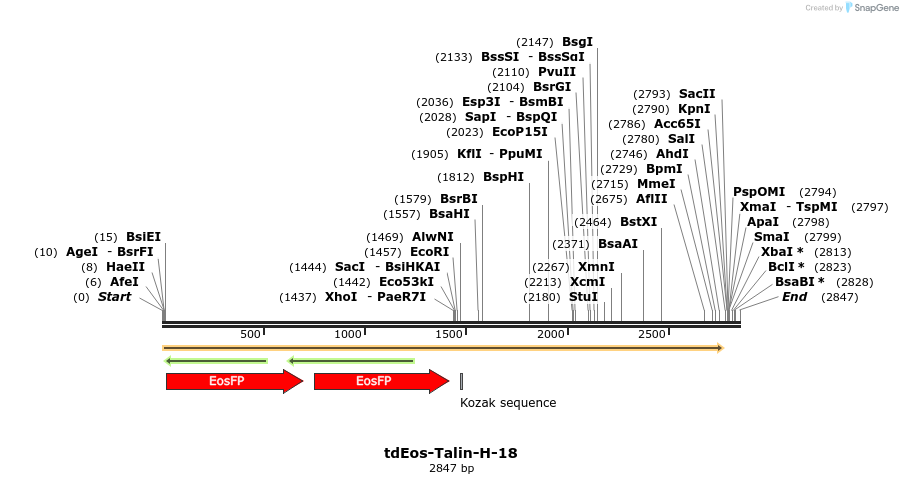 88829_map