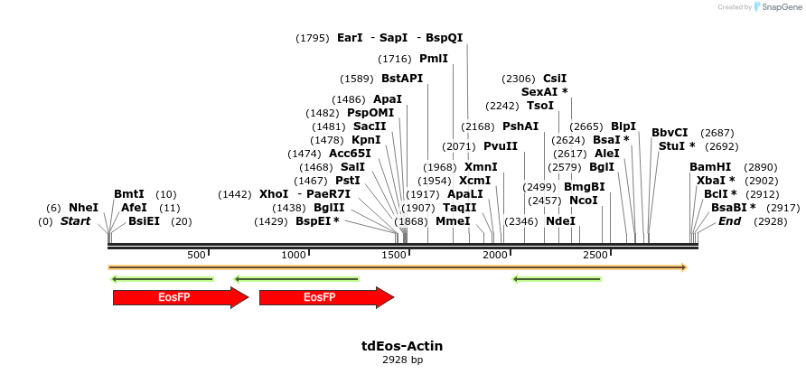 88838_map