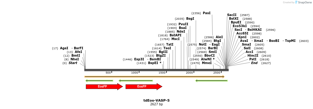 88839_map