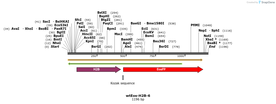 88853_map