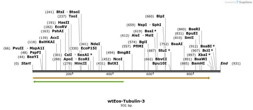 88855_map