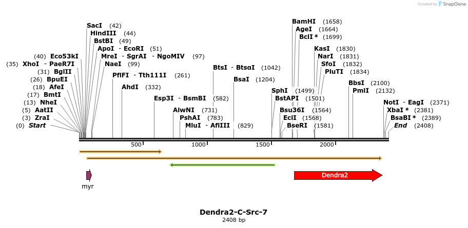 88864_map