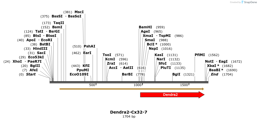 88866_map