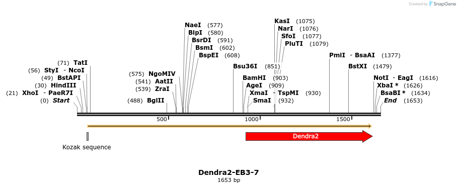 88869_map