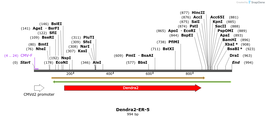 88870_map