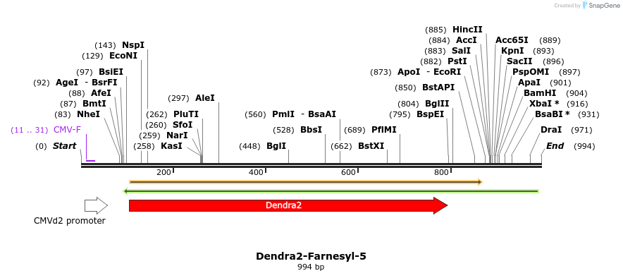 88871_map
