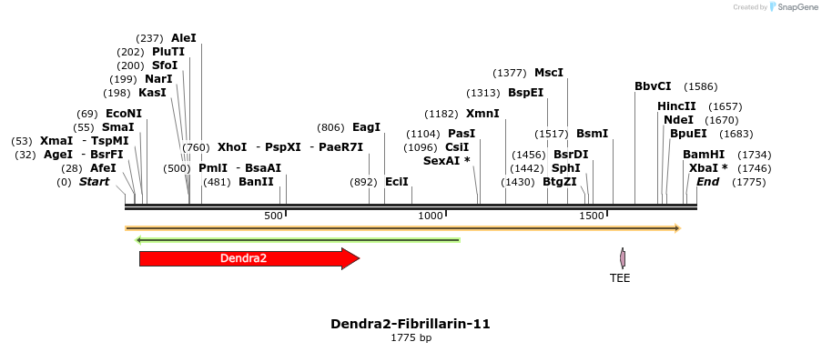88872_map