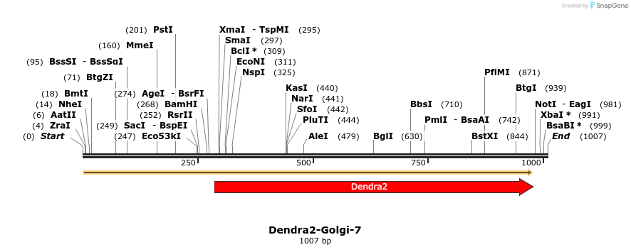 88876_map