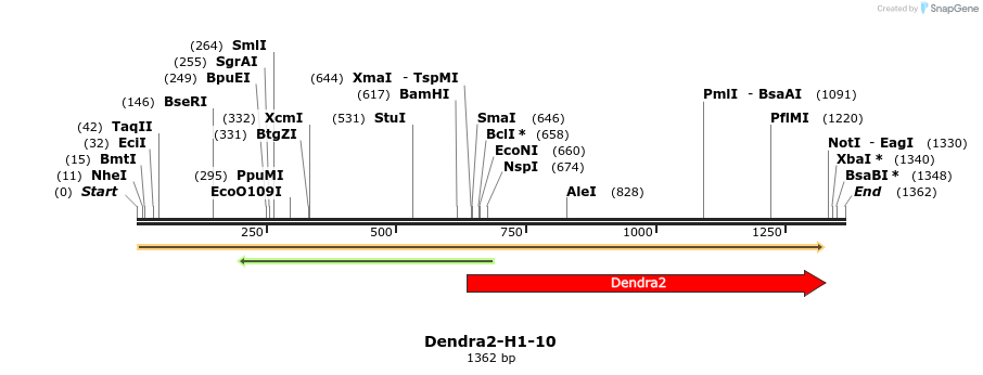 88877_map