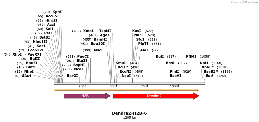 88878_map