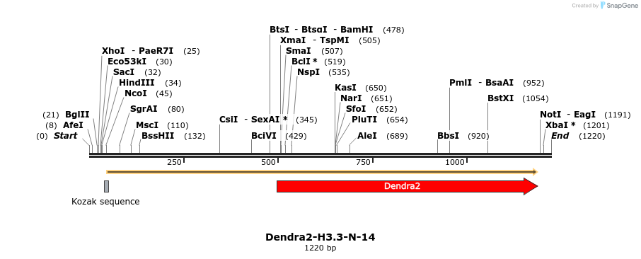 88879_map