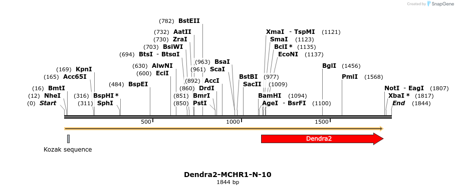 88886_map