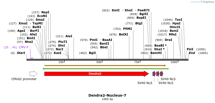 88888_map