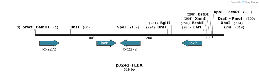 8889_map