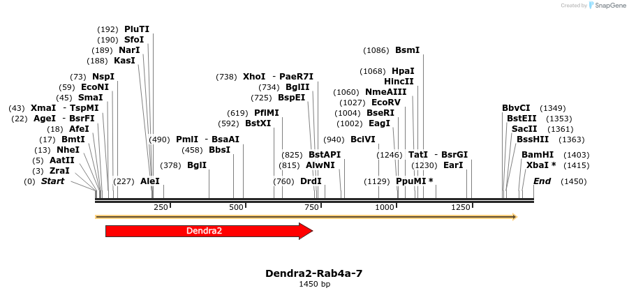 88890_map