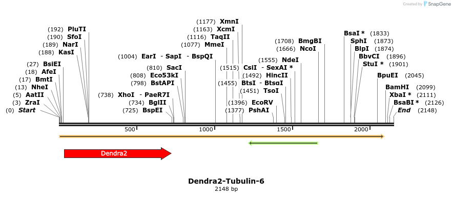 88896_map