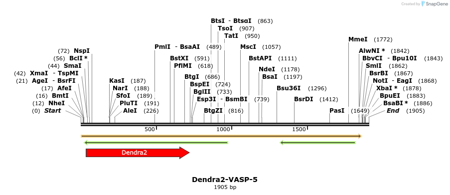 88898_map