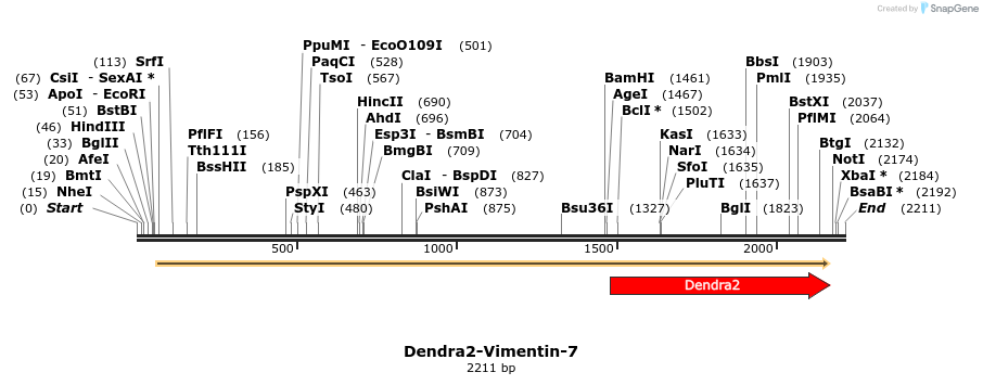 88899_map