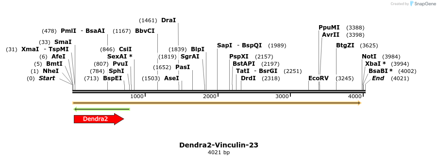 88902_map