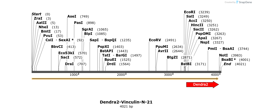 88903_map
