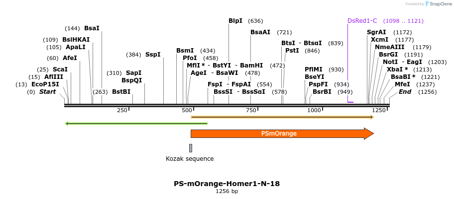 88916_map