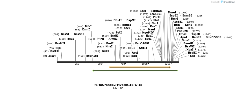 88920_map