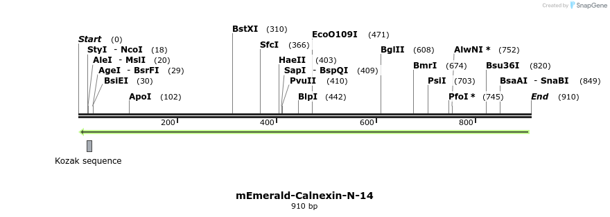 88923_map