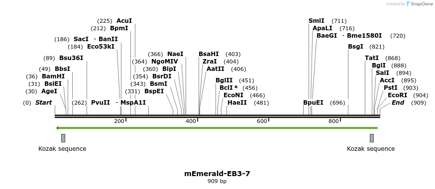 88924_map