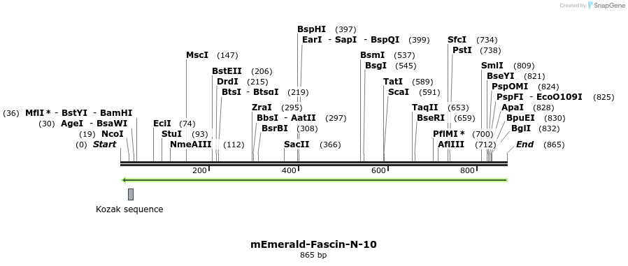 88930_map