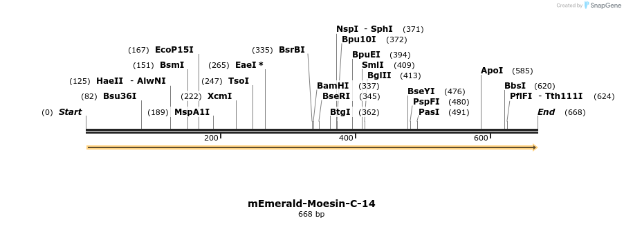 88932_map