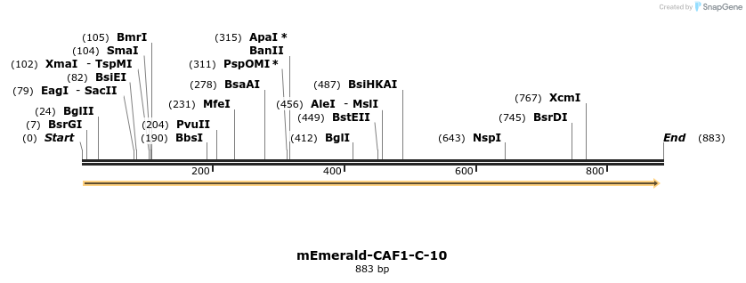 88934_map