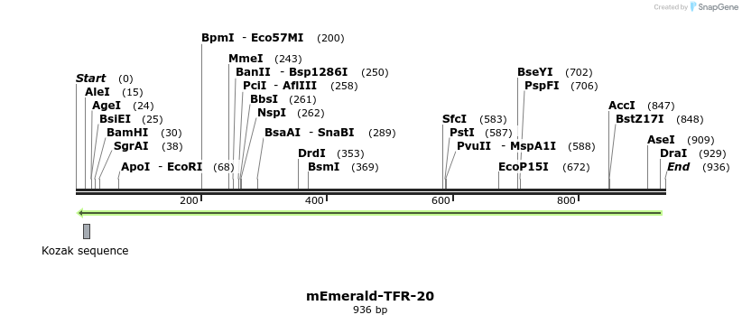 88935_map