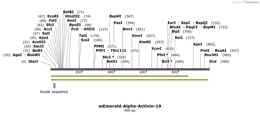 88936_map