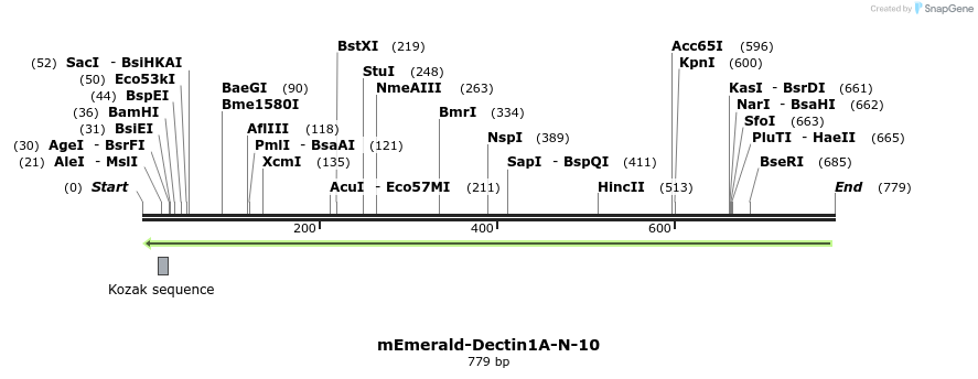 88937_map