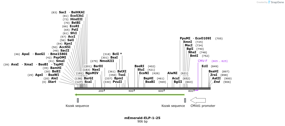 88938_map