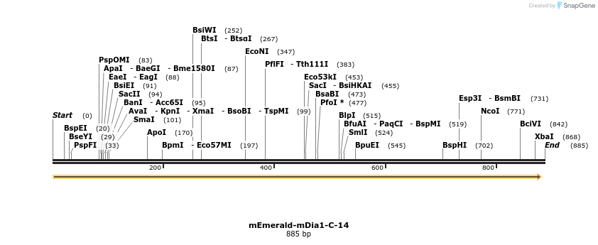 88939_map