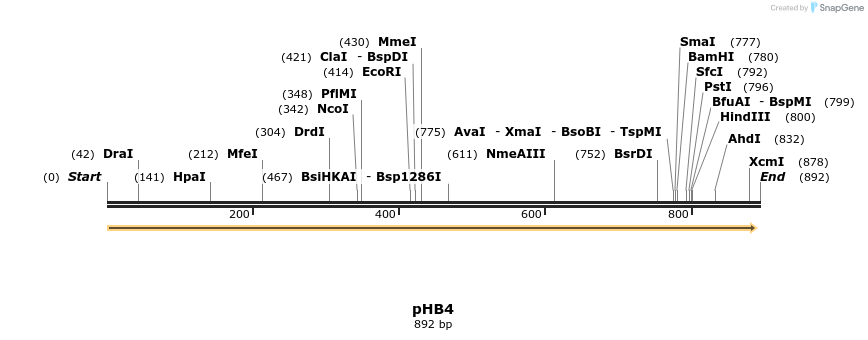 88941_map