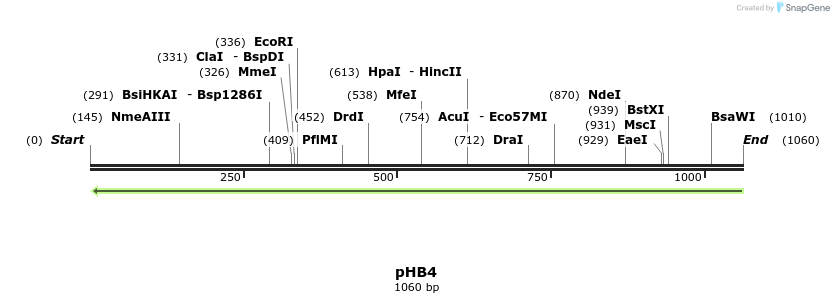88942_map