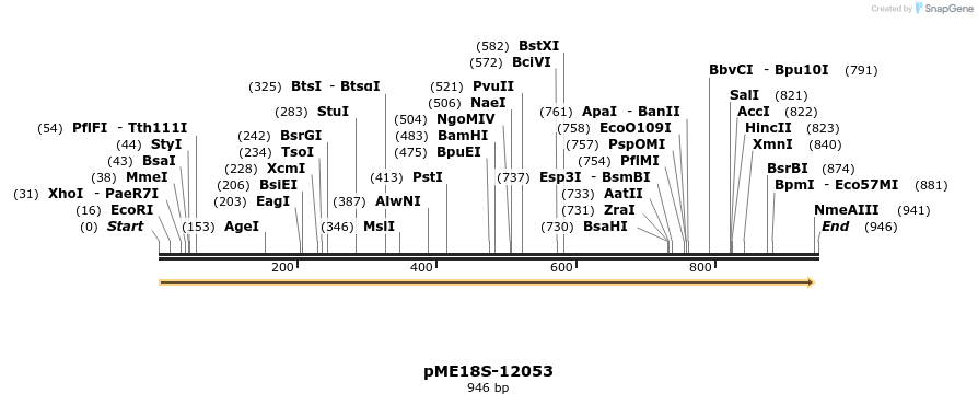 88943_map