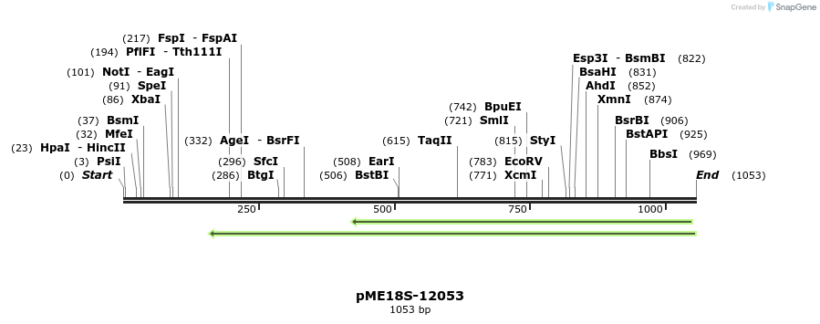 88944_map
