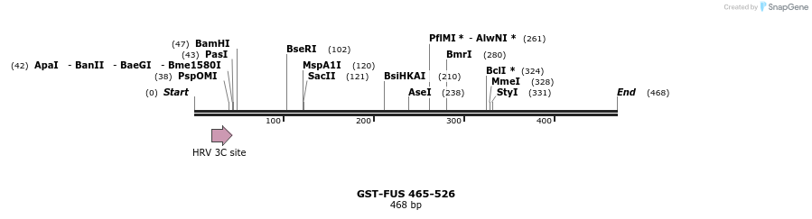 88945_map