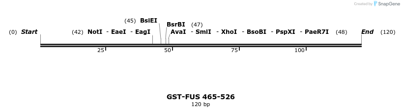 88946_map