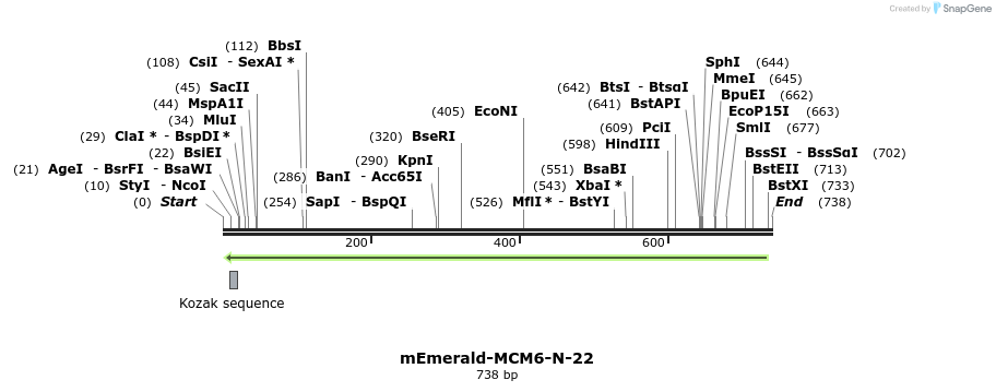 88956_map