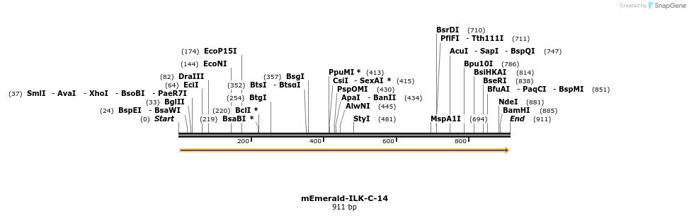 88961_map