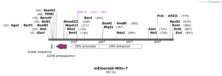 88963_map
